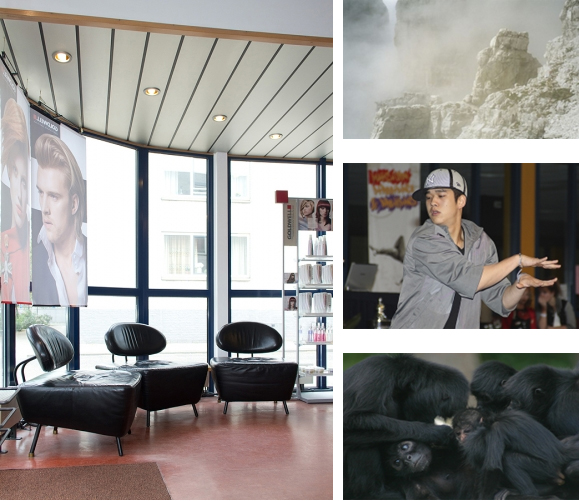 Voorbeeldfoto's bedrijfsinrichting, locatie, sport en dieren